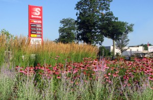 Roadside beautification